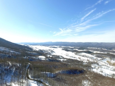 Hunting/Adjoin National Forest - Bland, VA - image 15