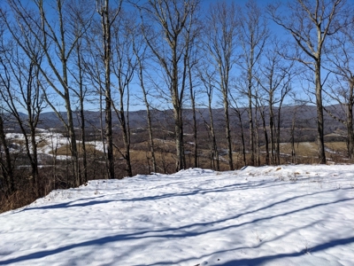 Hunting/Adjoin National Forest - Bland, VA - image 8