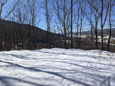 Hunting/Adjoin National Forest - Bland, VA - image 4