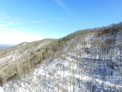 Hunting/Adjoin National Forest - Bland, VA - image 14