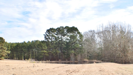 East Texas Country Home with acreage in Cass County, Texas - image 10