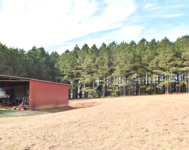 East Texas Country Home with acreage in Cass County, Texas - image 9