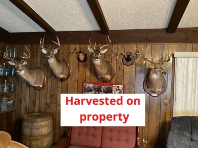 East Texas Country Home with acreage in Cass County, Texas - image 47