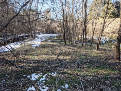 Hunting Property for Sale in Bland VA - image 6