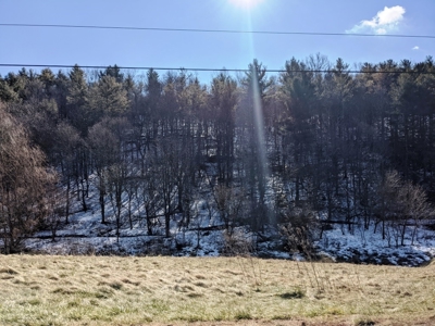 Hunting Property for Sale in Bland VA - image 12