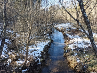 Hunting Property for Sale in Bland VA - image 5