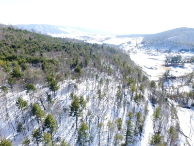 Hunting Property for Sale in Bland VA - image 15
