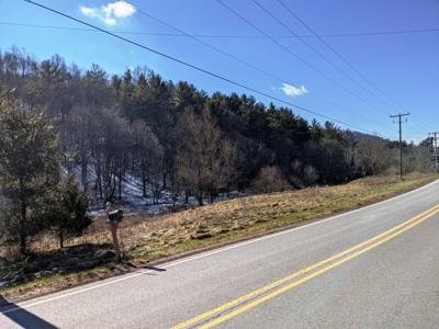 Hunting Property for Sale in Bland VA - image 11