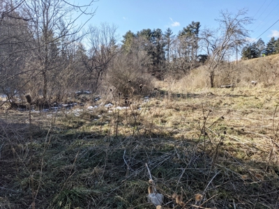 Hunting Property for Sale in Bland VA - image 9