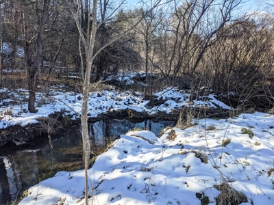 Hunting Property for Sale in Bland VA - image 8