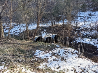 Hunting Property for Sale in Bland VA - image 7