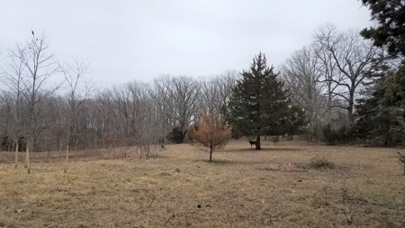 Land For Sale! 7+/- Acres Vacant Land With Pond! - image 5