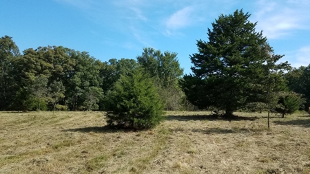Land For Sale! 7+/- Acres Vacant Land With Pond! - image 2