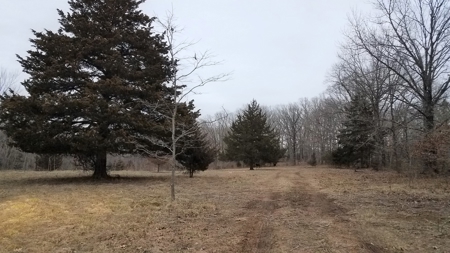 Land For Sale! 7+/- Acres Vacant Land With Pond! - image 4
