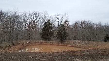 Land For Sale! 7+/- Acres Vacant Land With Pond! - image 6