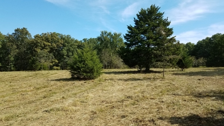 Land For Sale! 7+/- Acres Vacant Land With Pond! - image 1