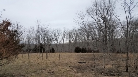 Land For Sale! 7+/- Acres Vacant Land With Pond! - image 7