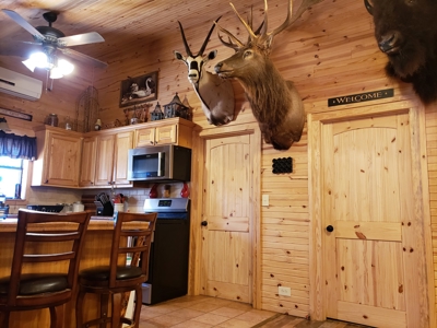 Winding Stair Mountain Off-Grid Cabin in National Forest - image 8