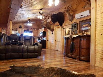 Winding Stair Mountain Off-Grid Cabin in National Forest - image 11
