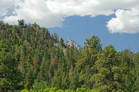Ridgway Ouray CO Mountain View Home Garage Acreage For Sale - image 33