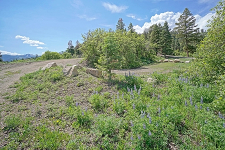 Ridgway Ouray CO Mountain View Home Garage Acreage For Sale - image 31