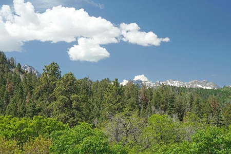 Ridgway Ouray CO Mountain View Home Garage Acreage For Sale - image 32