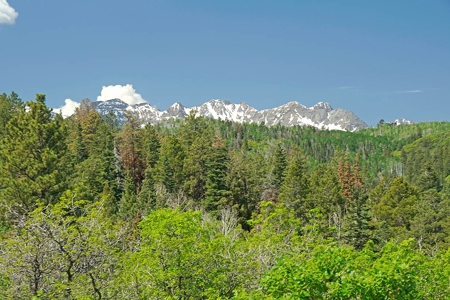 Ridgway Ouray CO Mountain View Home Garage Acreage For Sale - image 34
