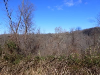 Ohio River View Hunting, Recreation Land for Sale, Homesites - image 30