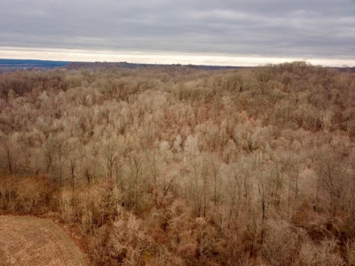 Ohio River View Hunting, Recreation Land for Sale, Homesites - image 12