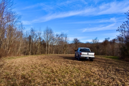 Ohio River View Hunting, Recreation Land for Sale, Homesites - image 7