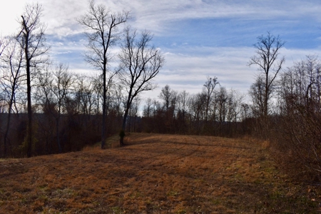 Ohio River View Hunting, Recreation Land for Sale, Homesites - image 6