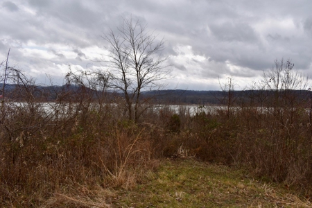Ohio River View Hunting, Recreation Land for Sale, Homesites - image 24