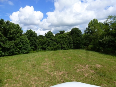 Ohio River View Hunting, Recreation Land for Sale, Homesites - image 34