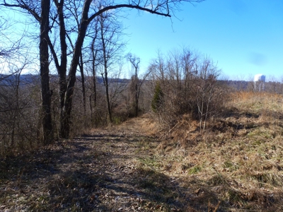 Ohio River View Hunting, Recreation Land for Sale, Homesites - image 29