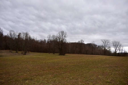 Ohio River View Hunting, Recreation Land for Sale, Homesites - image 5