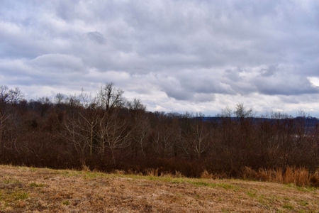Ohio River View Hunting, Recreation Land for Sale, Homesites - image 25