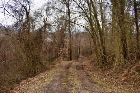Ohio River View Hunting, Recreation Land for Sale, Homesites - image 16