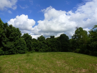 Ohio River View Hunting, Recreation Land for Sale, Homesites - image 35