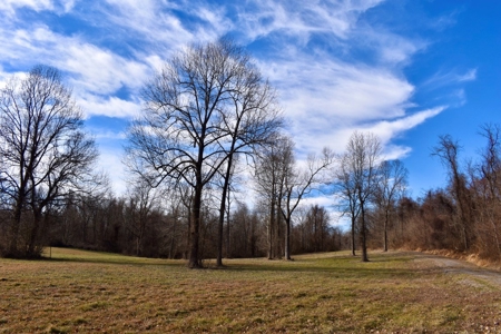 Ohio River View Hunting, Recreation Land for Sale, Homesites - image 1