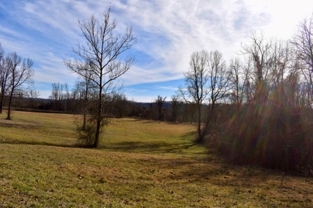 Ohio River View Hunting, Recreation Land for Sale, Homesites - image 8