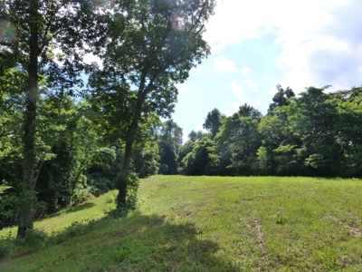 Ohio River View Hunting, Recreation Land for Sale, Homesites - image 33