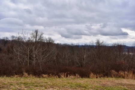 Ohio River View Hunting, Recreation Land for Sale, Homesites - image 23