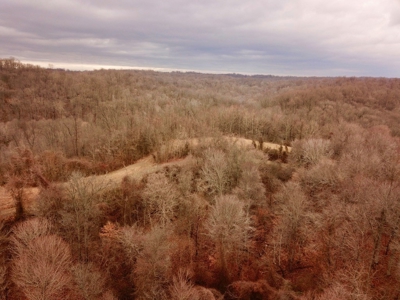 Ohio River View Hunting, Recreation Land for Sale, Homesites - image 3