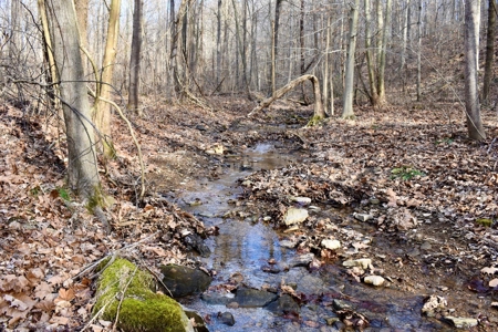 Ohio River View Hunting, Recreation Land for Sale, Homesites - image 19