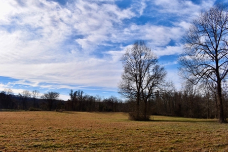 Ohio River View Hunting, Recreation Land for Sale, Homesites - image 14