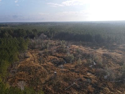 Recreational Hunting  Tract Dallas County Arkansas - image 4