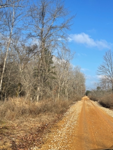Recreational Hunting  Tract Dallas County Arkansas - image 7