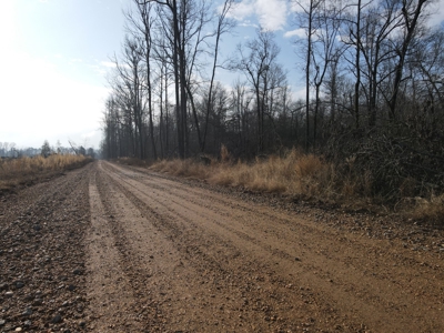 Recreational Hunting  Tract Dallas County Arkansas - image 10