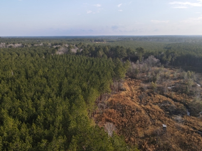 Recreational Hunting  Tract Dallas County Arkansas - image 1