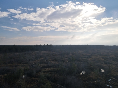 Recreational Hunting  Tract Dallas County Arkansas - image 2